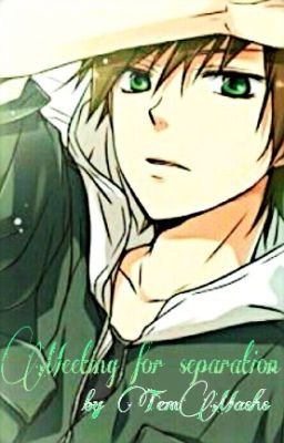 Встреча ради разлуки