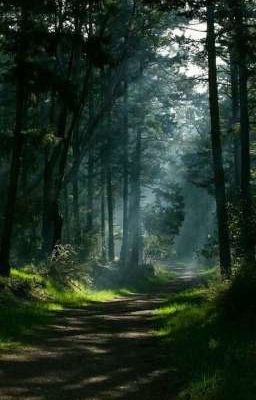 °★•♪зелёный цвет-цвет жизни♪•★°