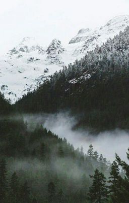 Вишневый Вихрь