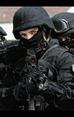 Strangers in the night 