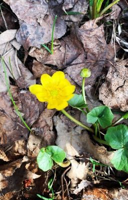 Любовь со вкусом боли