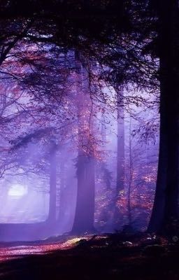 Академия Триверсаль: Эра ведьм