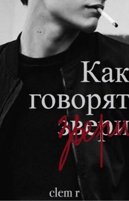 Как говорят звери