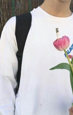 Анфасы и профили