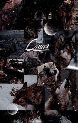 ^Стая^ [J.H.] 《Завершён》