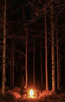 Байки у костра