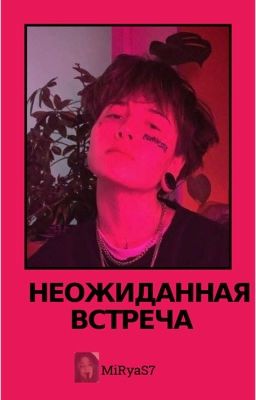 Неожиданная встреча