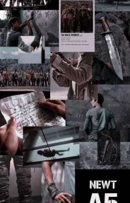 {Незнакомка}