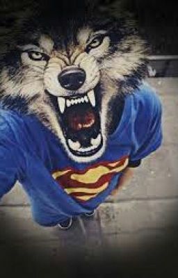 Сводный брат