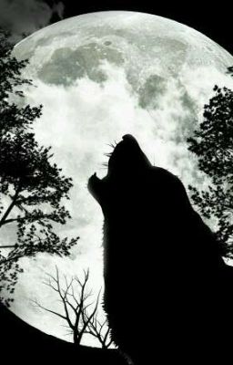 Ведьмочка Вампир.(идея Ольги Громыко)