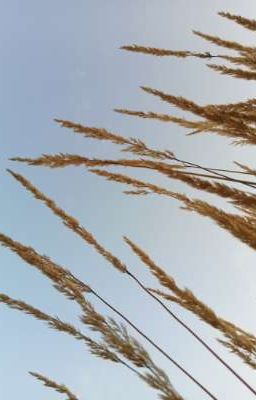 Стихи и Проза, Гнёт и Грёзы!