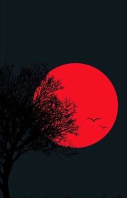 моя мечта сбылась)