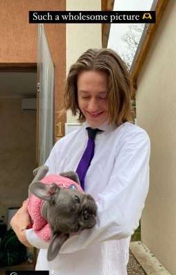 Почему моё сердце бьётся быстрее когда я вижу его..?