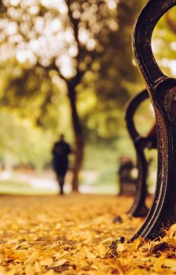 Жёлтая скамейка 