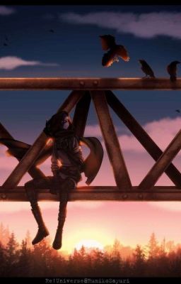 ~Сансы x читатель~