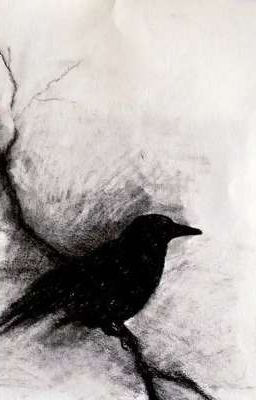 Я хочу лететь долго черной птицей