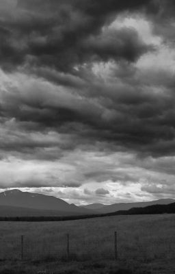 Летний снег