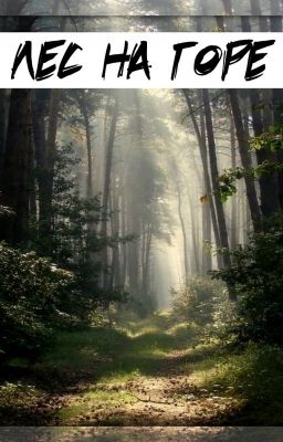 Лес на горе