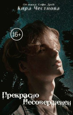 Прекрасно несовершенен 