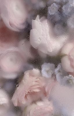 История длиною в 7 лет 