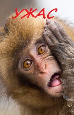 Ужас (смех и грех)