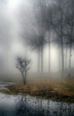 «Последний Рассвет»