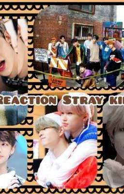 Реакции Stray Kids [Закончено]