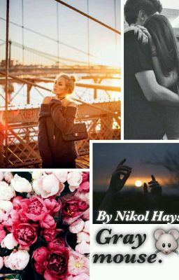 Серая мышь