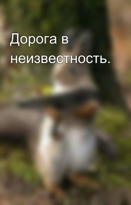 Дорога в неизвестность.