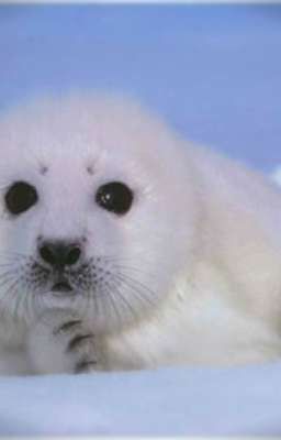 Мои рисунки¿