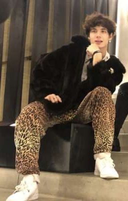 °𝗦𝘁𝗲𝗽 𝘂𝗽 [ 𝗝𝗔𝗗𝗘𝗡 𝗛𝗢𝗦𝗟𝗟𝗘𝗥] ° ЗАКОНЧЕН