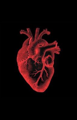 Игрушечное сердце