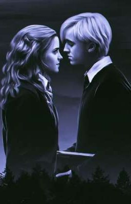 Зефир с шоколадом