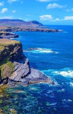 Взаимная подписка, пиар, звёзды. 