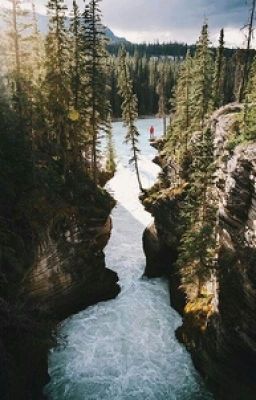 Что происходит в этом мире?