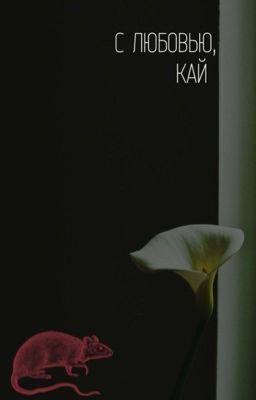 С любовью, Кай