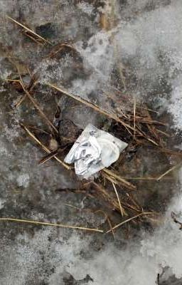 пошлый урок музыки