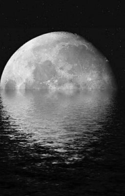 Маленькие рассказы 