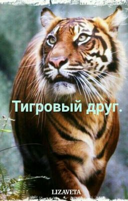 Тигровый Друг.