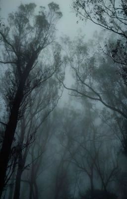 Ценестезия 