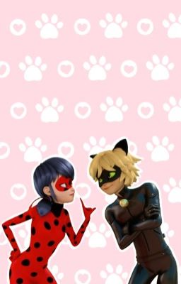 Рождественское чудо для Маринетт