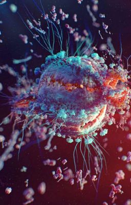 Грань жизни