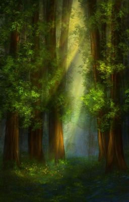 Лес, в котором мы встретились... (Dream SMP)