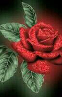 стерва для оборотня