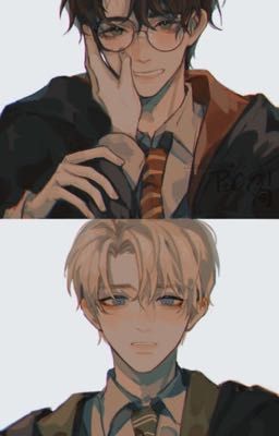 Reactions of the universe Harry Potter 