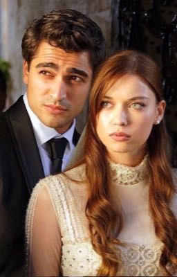 Зимородок  ФФ