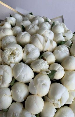 Короли...жизнь меняется