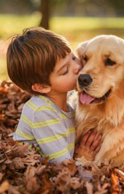 Вы Знаете Что Такое Дружба?