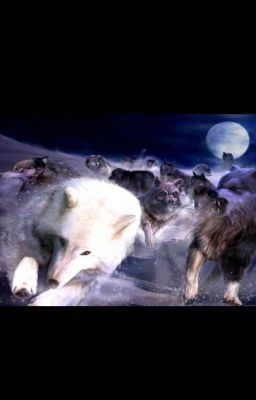 Как бы я хотела там быть