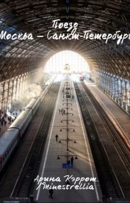 Поезд Москва - Санкт-Петербург